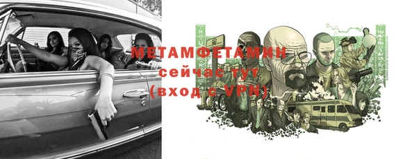 прущие грибы Переславль-Залесский